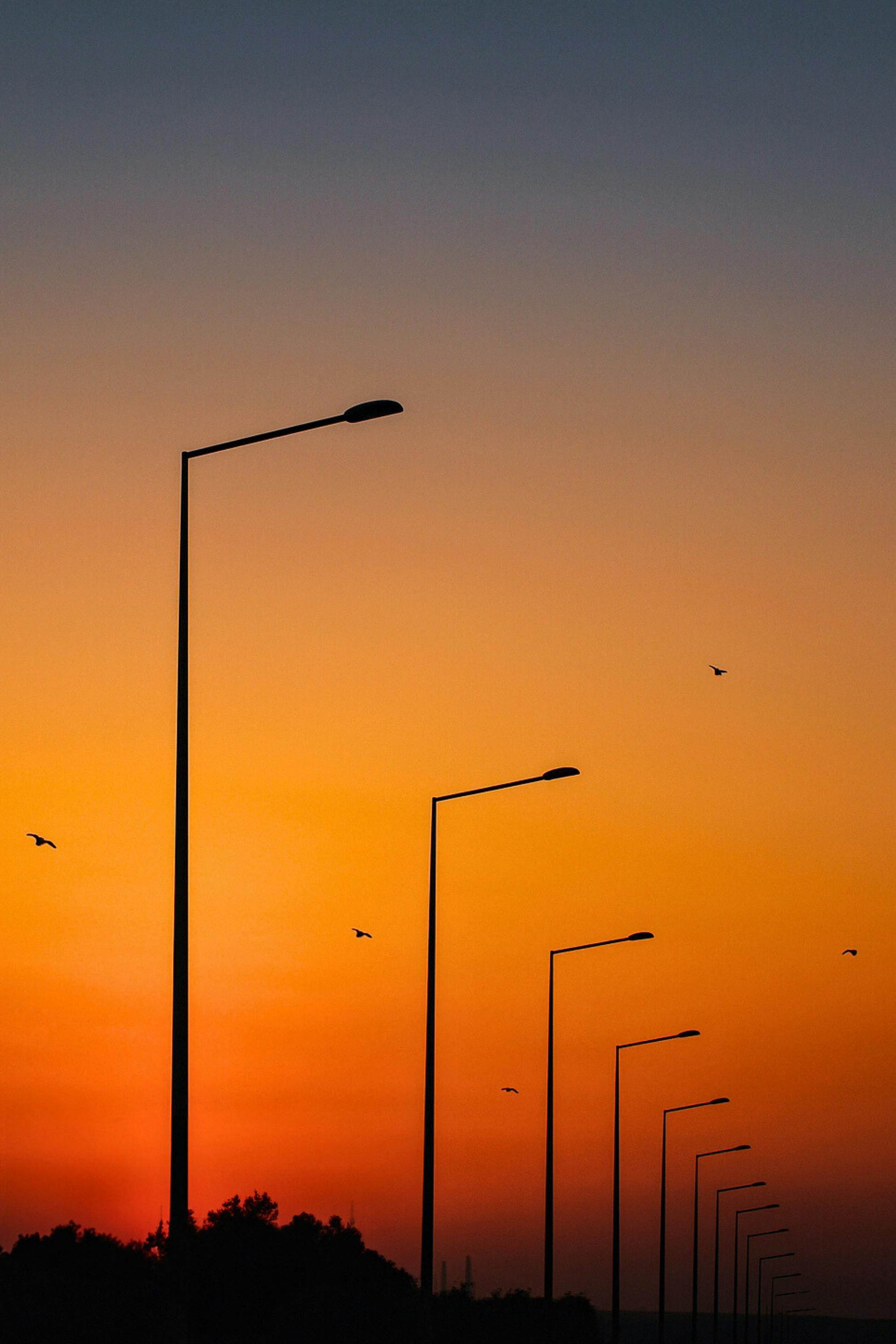 Silhouetted street lamps with birds against a vibrant sunset sky.