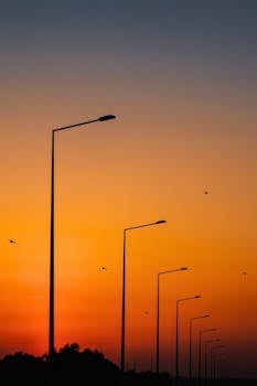 Silhouetted street lamps with birds against a vibrant sunset sky.