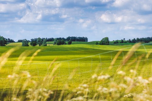 Free stock photo of beatiful landscape, colorful, meadow Stock Photo