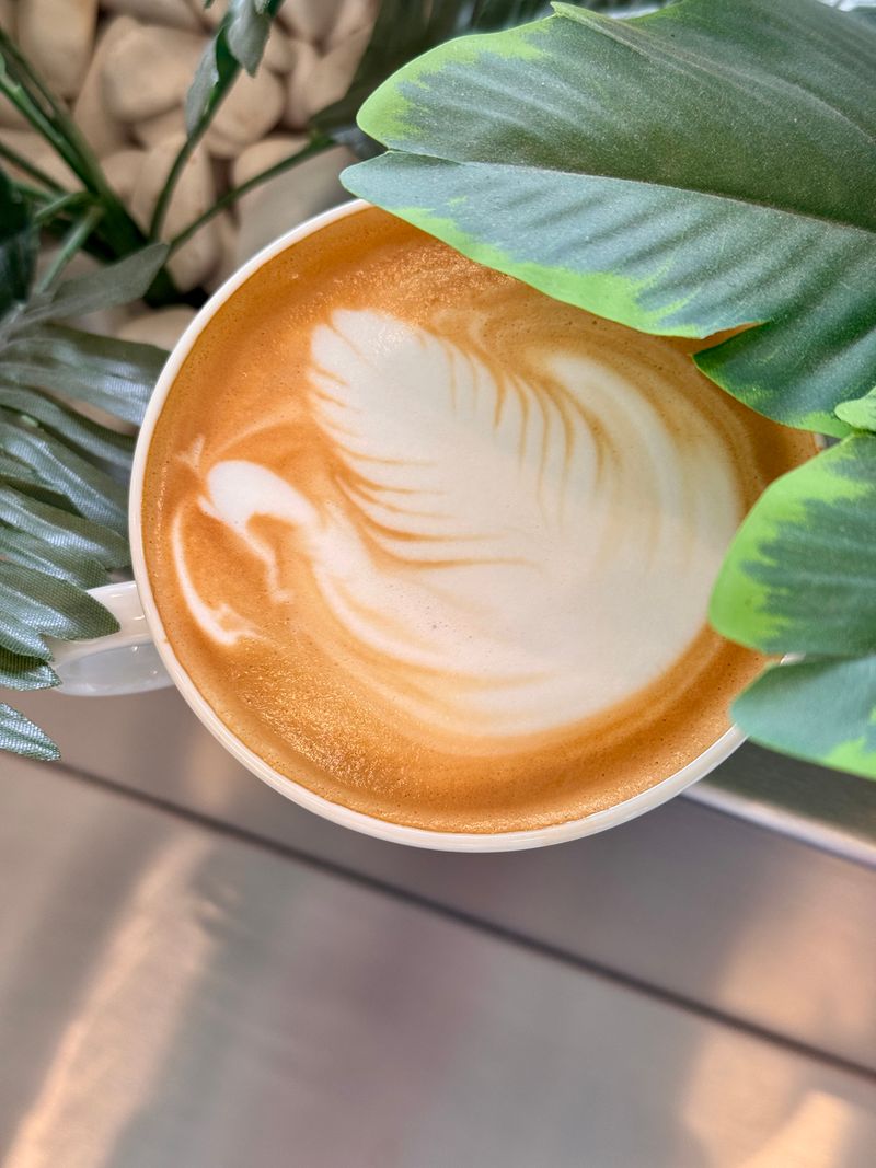 Swan latte art design, for illustration