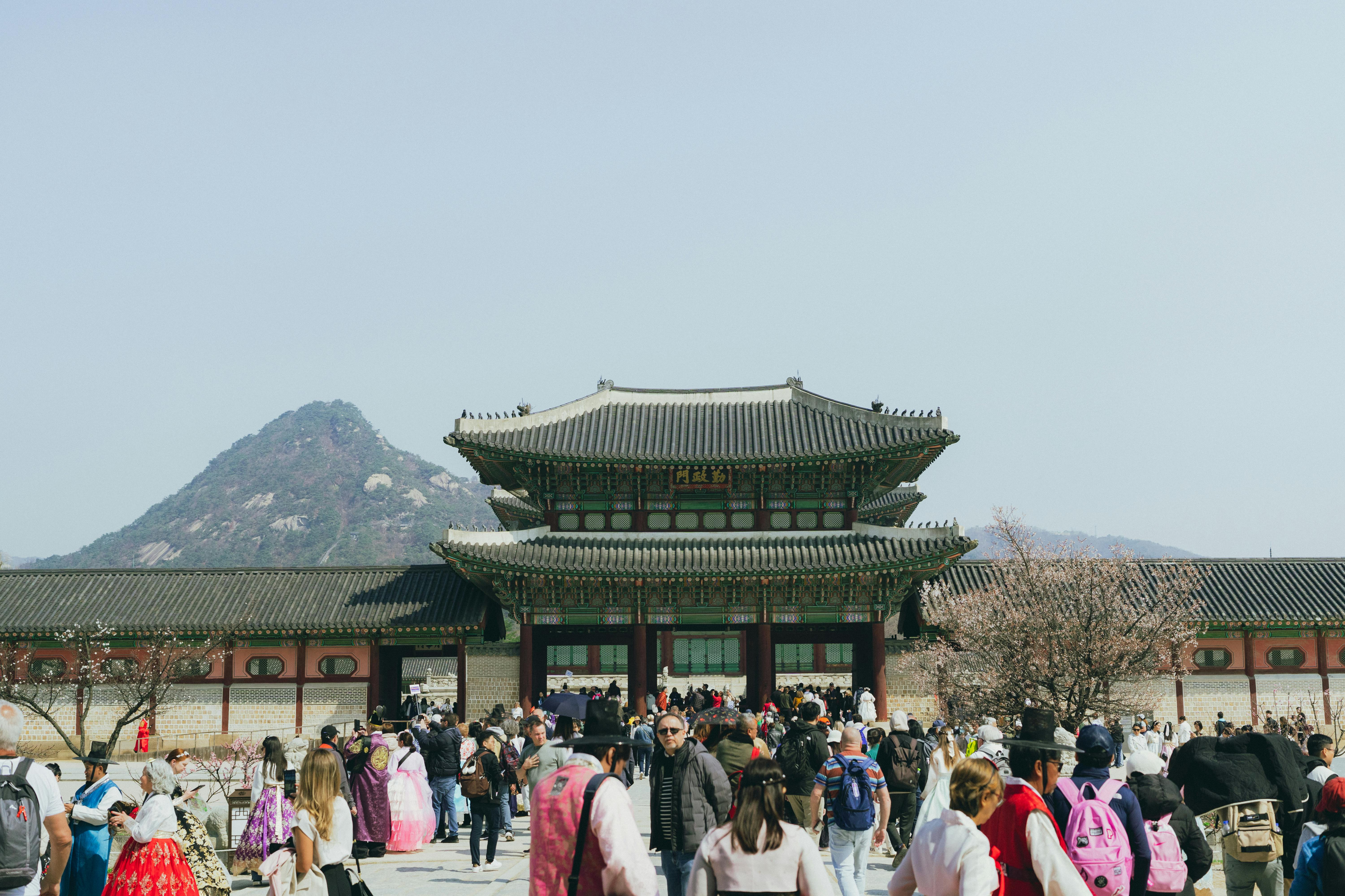 Seoul cosmetic surgery tourism demand — Photo by Theodore Nguyen on Pexels
