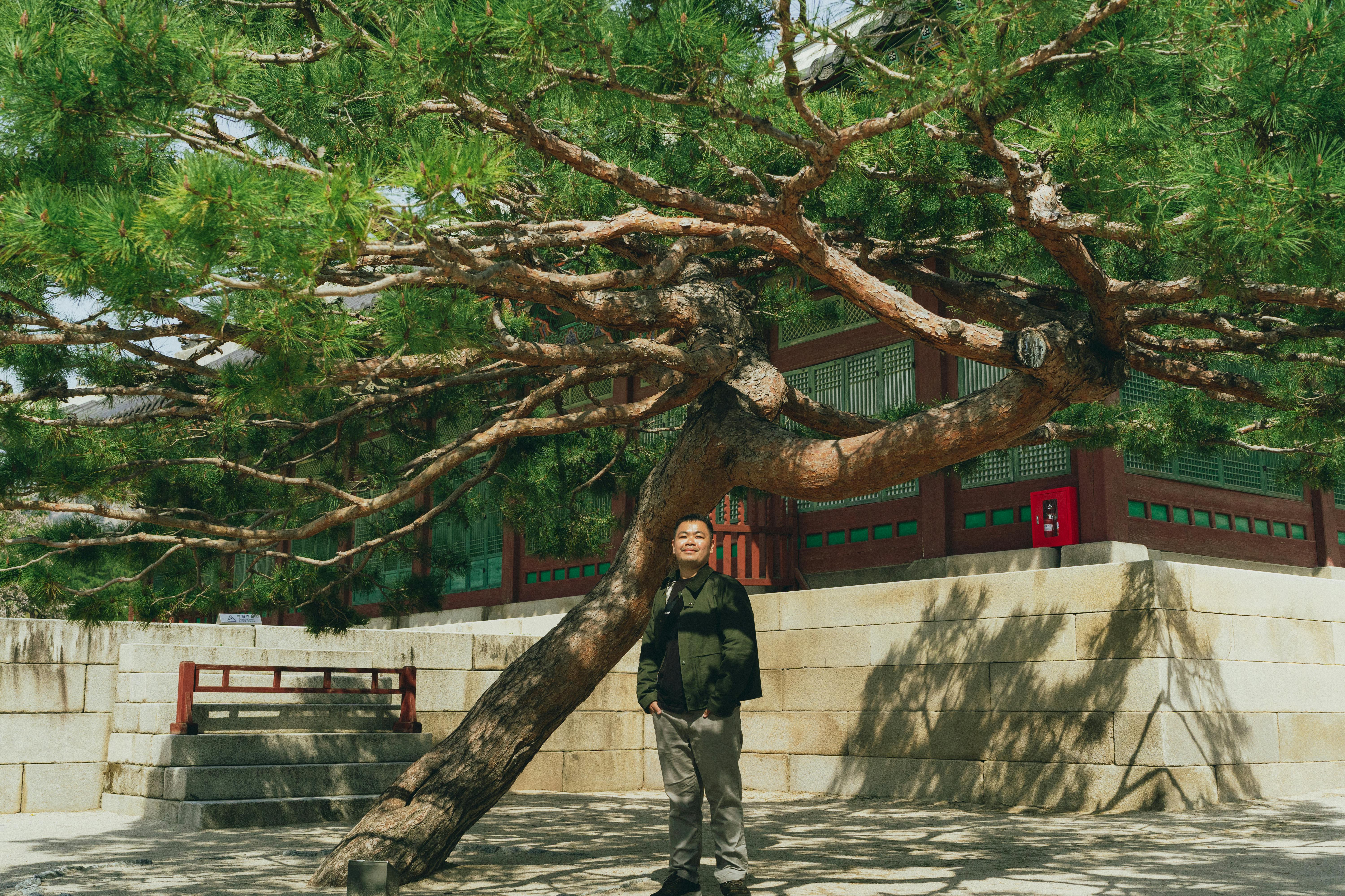 Vivir en Suecia: Guia Completa para Latinos May 2020