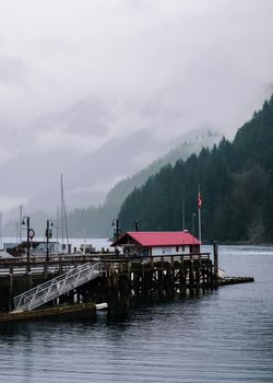 Foggy view of Horseshoe Bay dock in Vancouver, BC, with serene mountains in the background.