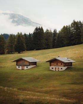 Two rustic wooden cabins on a lush meadow surrounded by misty mountains and forests.