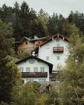 Idyllic mountain cabins nestled amidst a dense forest, offering a tranquil escape in nature.