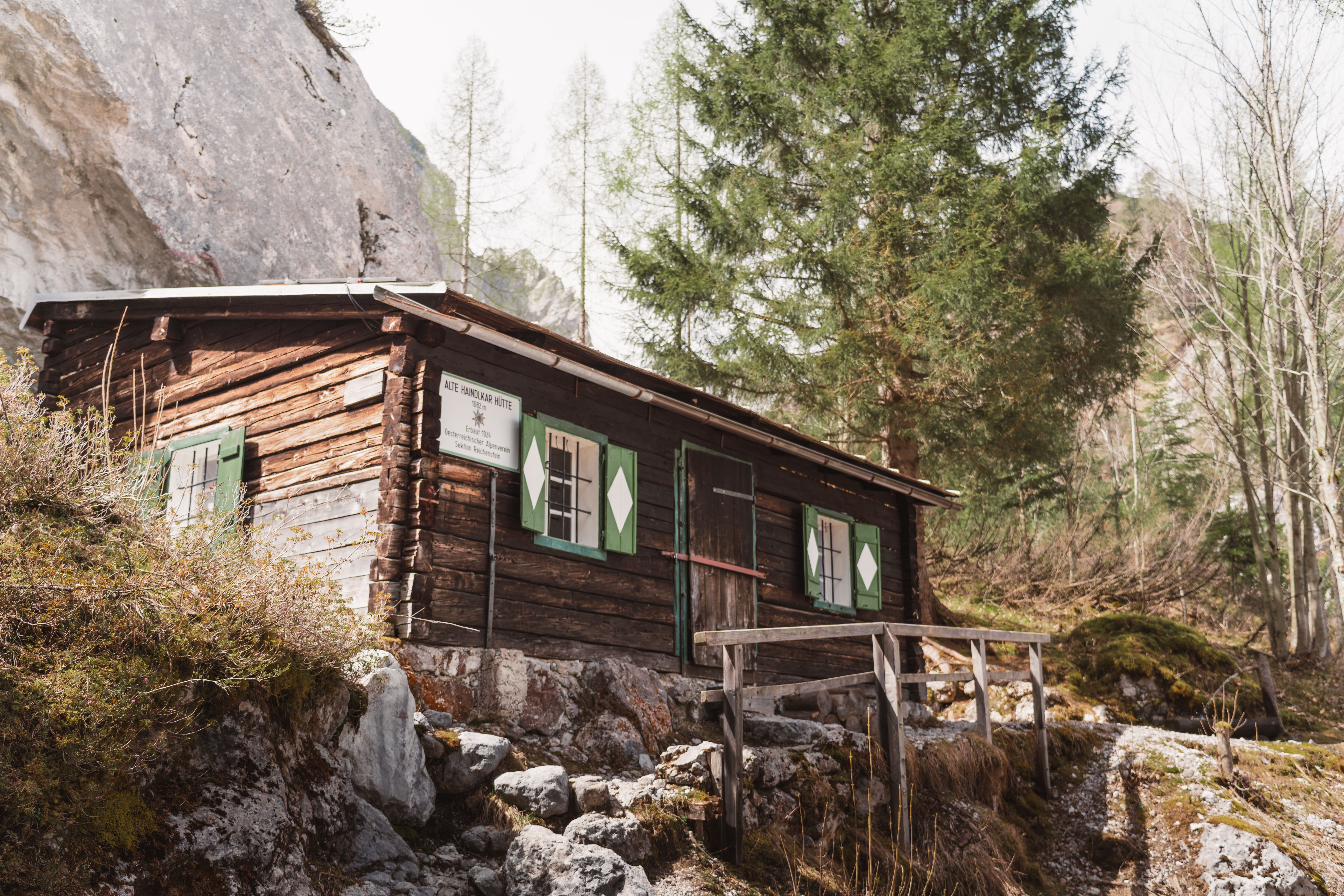 Charmante cabane de montagne en bois entourée d'une forêt alpine pittoresque, idéale pour les retraites dans la nature.