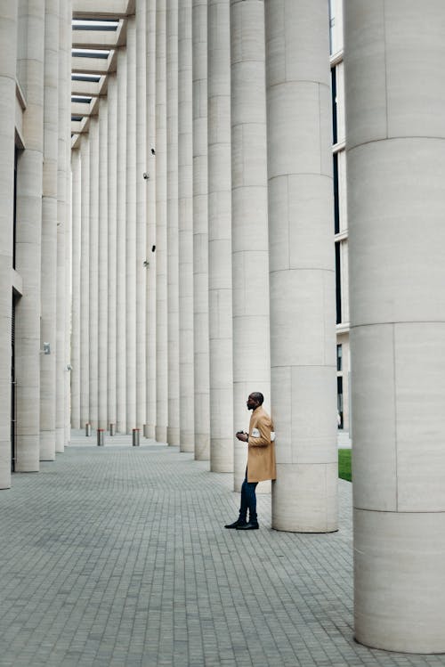 Gratis lagerfoto af afroamerikansk mand, alene, arkitektdesign