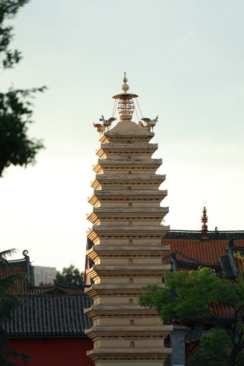 Free Captivating view of a traditional Chinese pagoda surrounded by lush greenery at sunrise. Stock Photo
