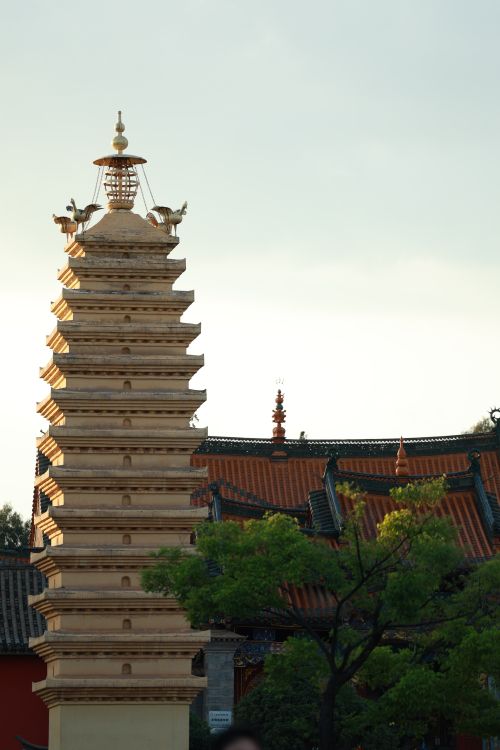 Free A serene view of a traditional pagoda and temple architecture at sunset with lush greenery. Stock Photo