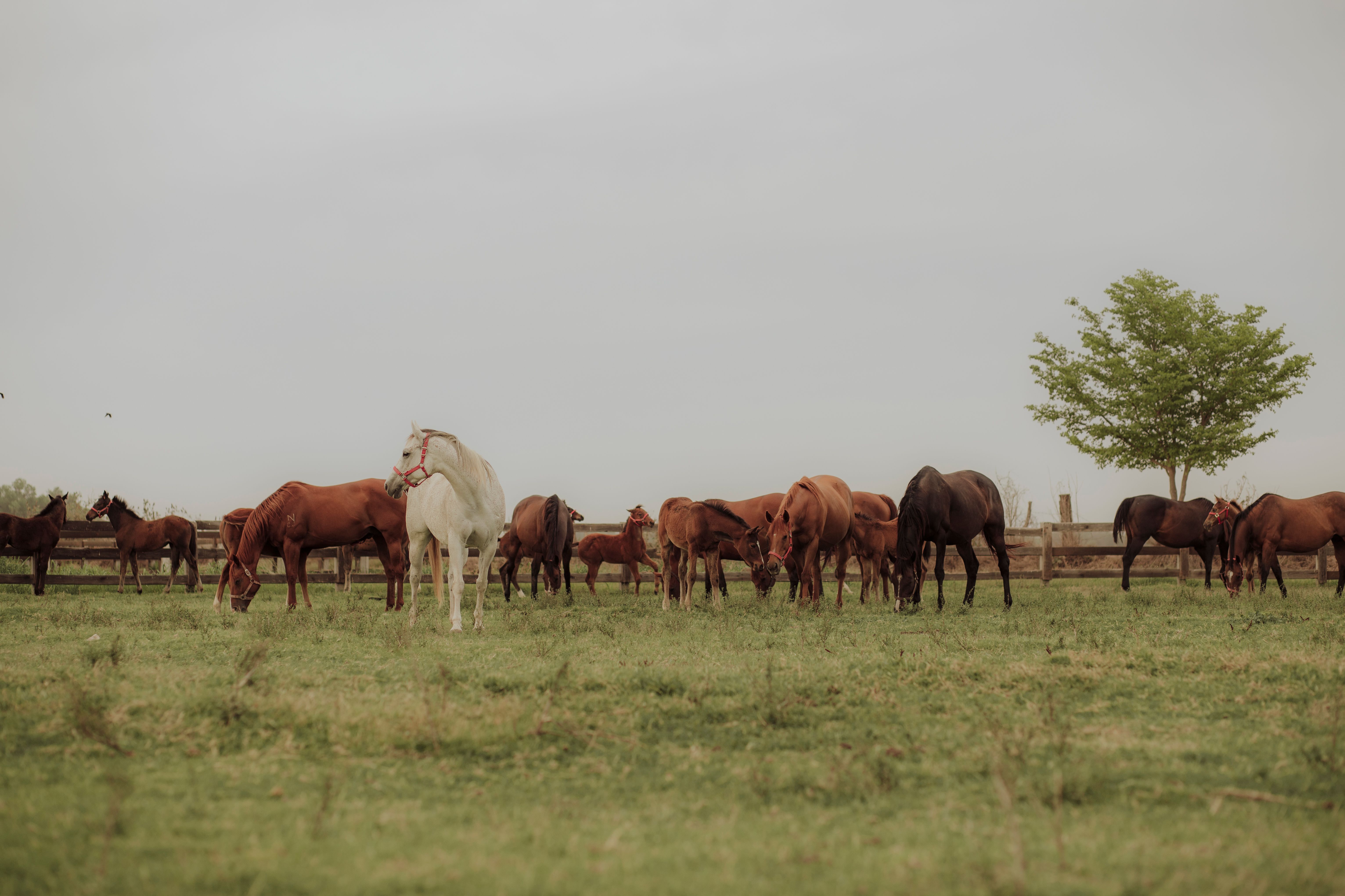 How to Enter Free Samples in Lexington, Kentucky Without Scams