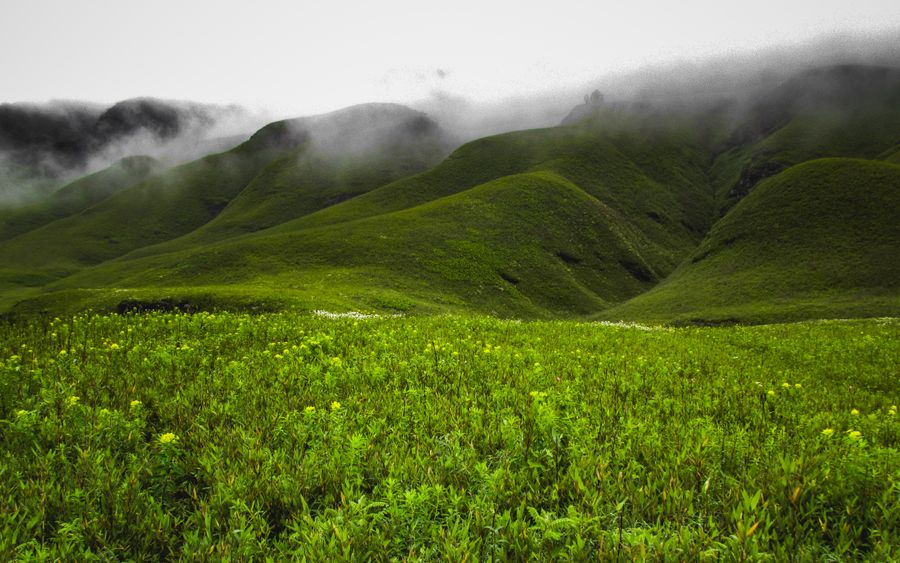 Dzukou Valley photo 5