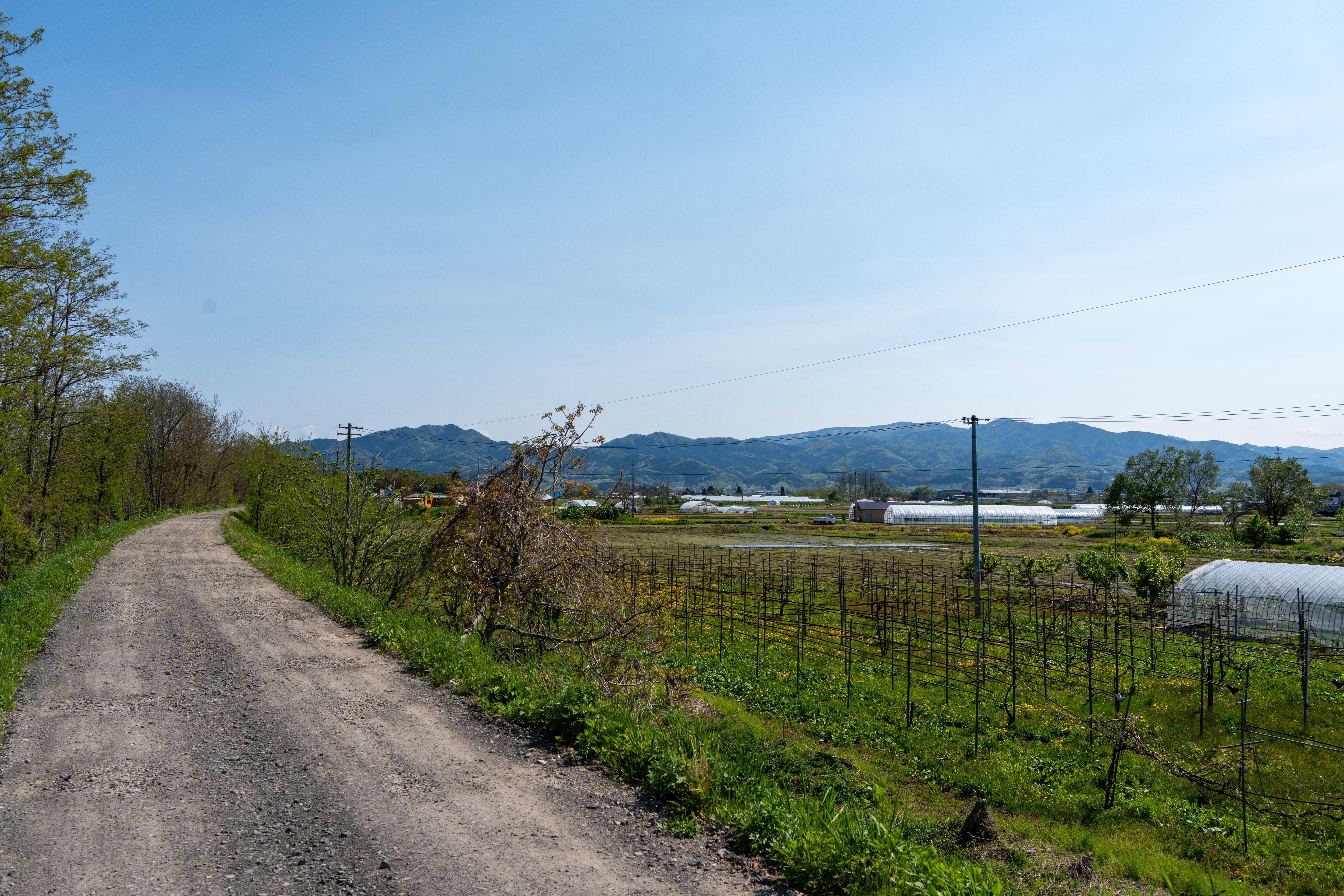 Rural Road and Greenhouses in Spring Landscape · Free Stock Photo