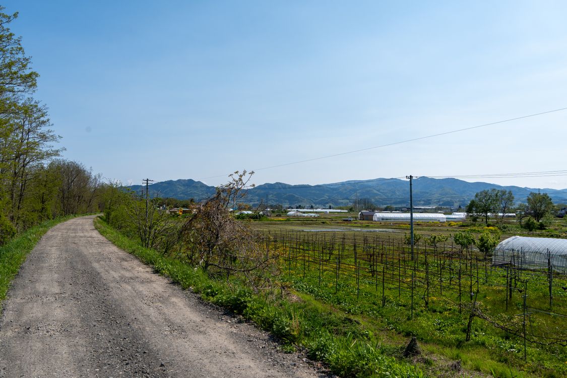 Rural Rode No Filter Rural Road and Greenhouses in Spring Landscape · Free Stock Photo