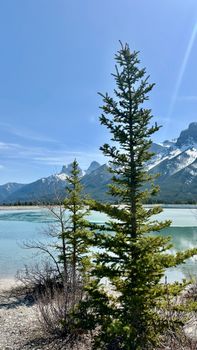 A tranquil mountain lake surrounded by pine trees and snowy peaks under a clear blue sky.