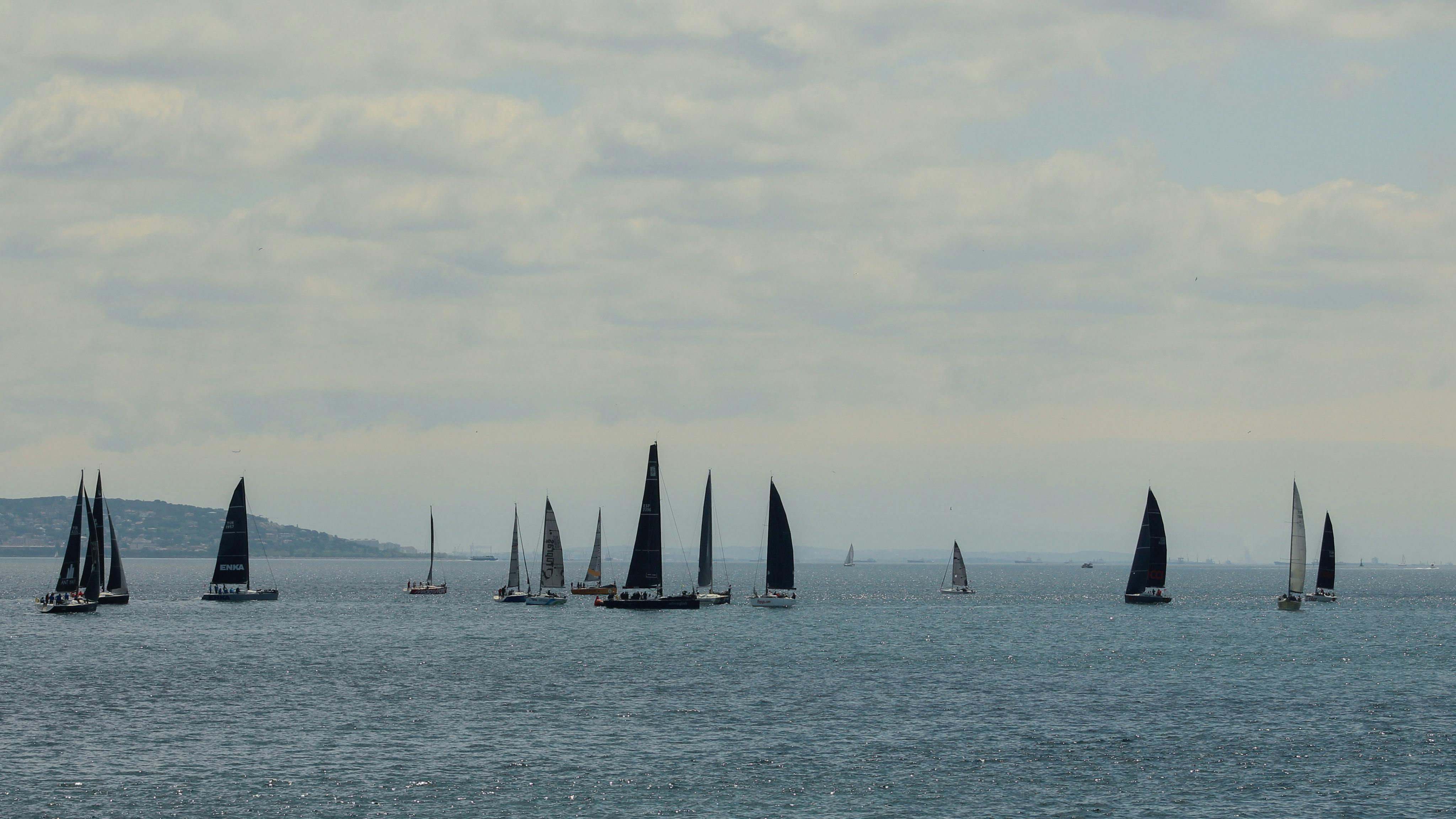 August Fleet Sales See Double-Digit Growth in Commercial and Rental Channels — Photo by Sercan  BALTALI on Pexels