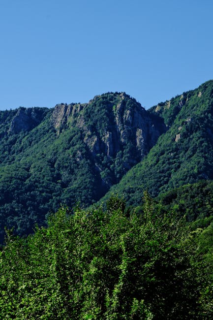 Experience the Best of Local Life on Tours in Thailand - Featured Image