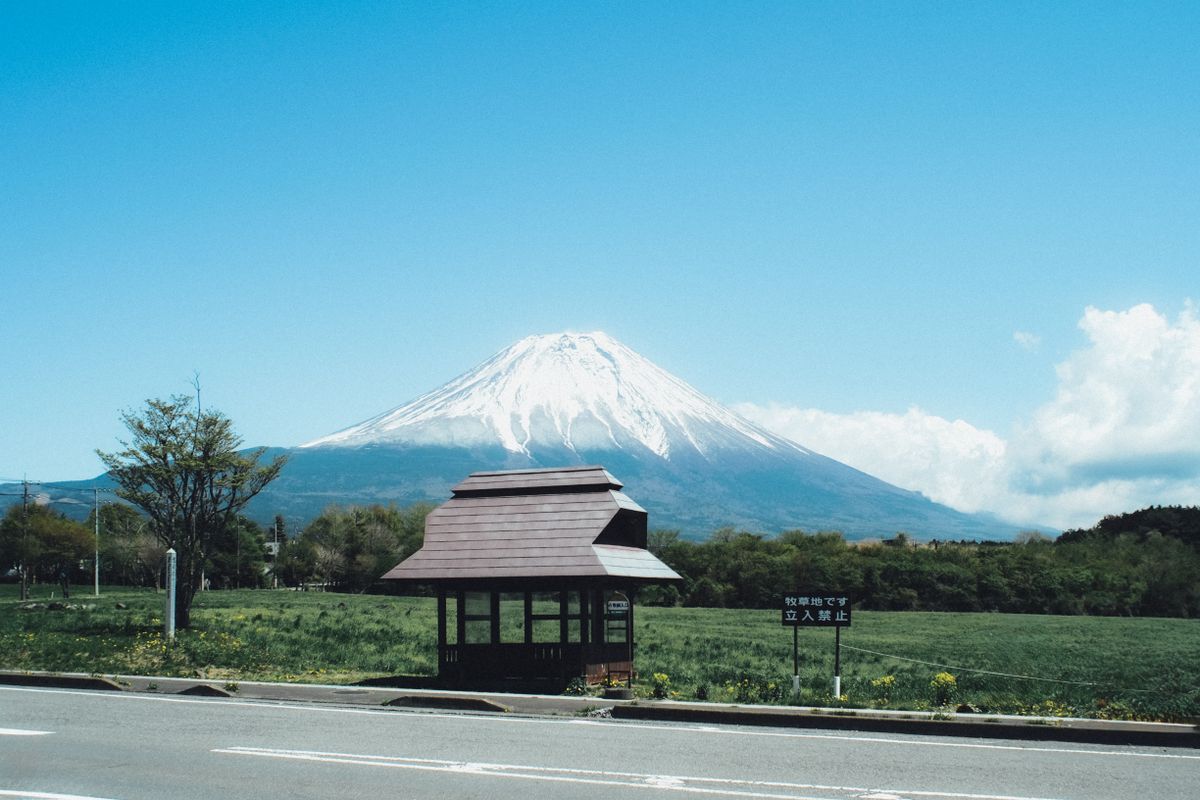 Japan travel seasons tourist crowd