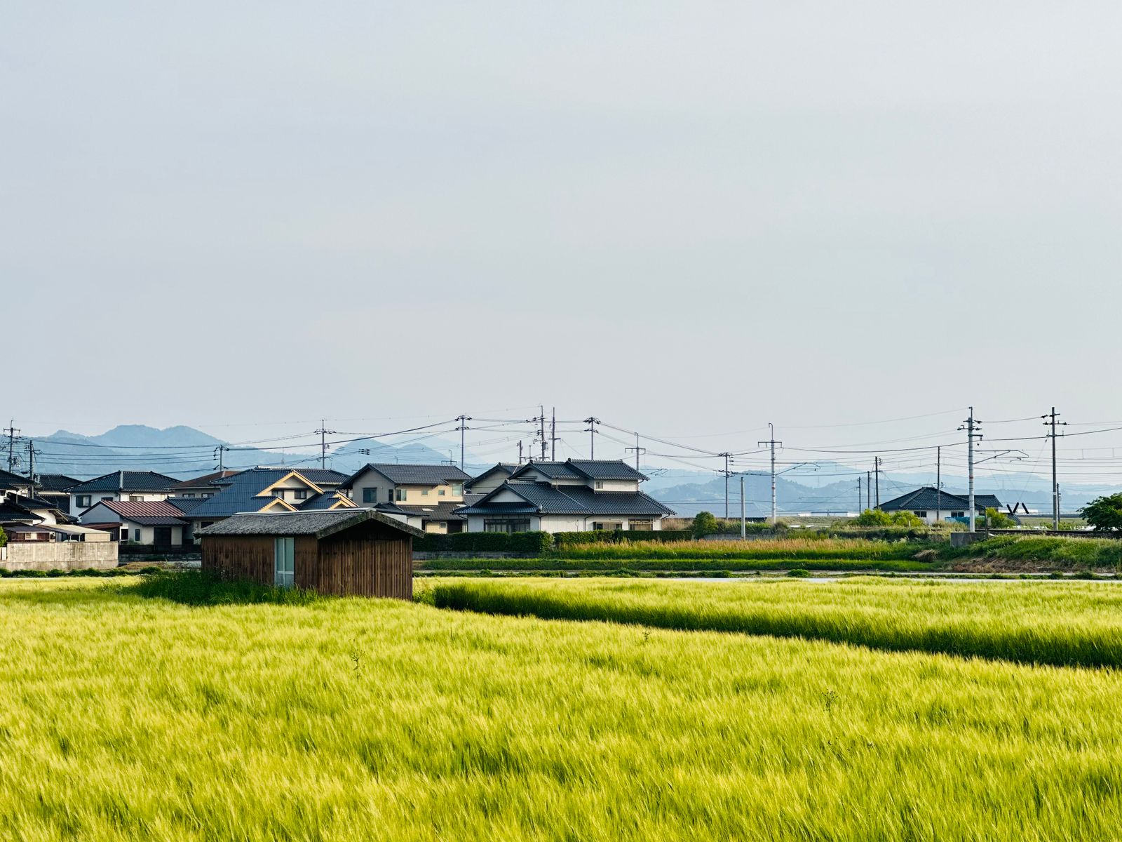地域の風景