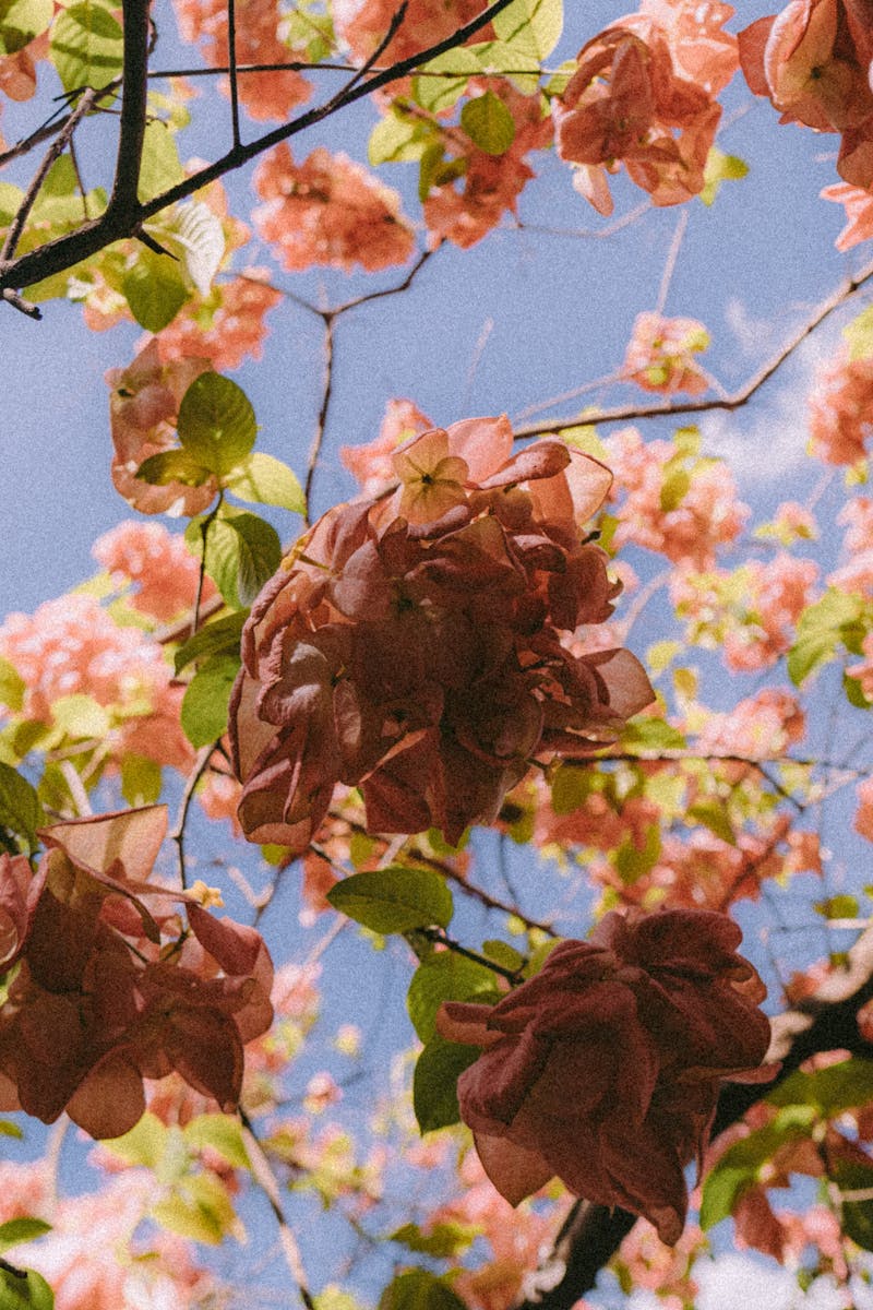 10 Day Ecourse Simplify Your Life