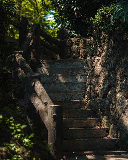 Free A serene outdoor staircase in lush greenery, perfect for tranquil nature moments. Stock Photo