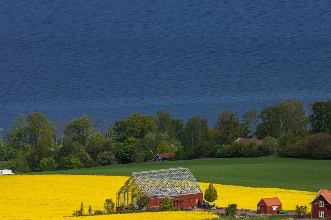 Scenic Swedish Countryside by Lake Vättern · Free Stock Photo