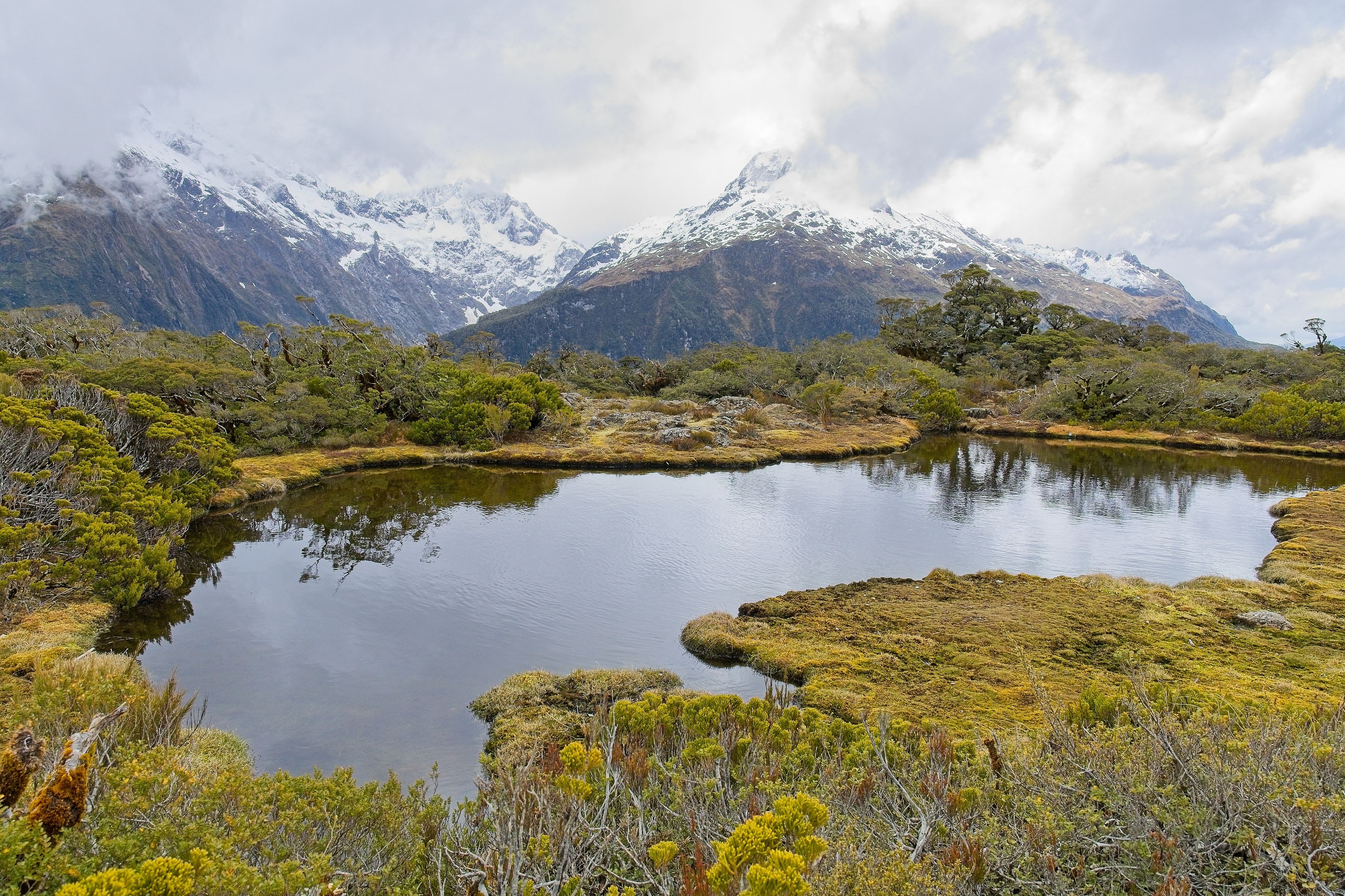 Hikers enjoying the stunning scenery on the Milford Track in New Zealand