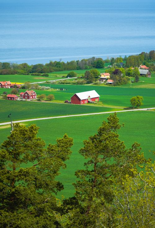 Free Picturesque landscape of Jönköpings län, Sweden featuring red barns, lush greenery, and a serene backdrop. Stock Photo