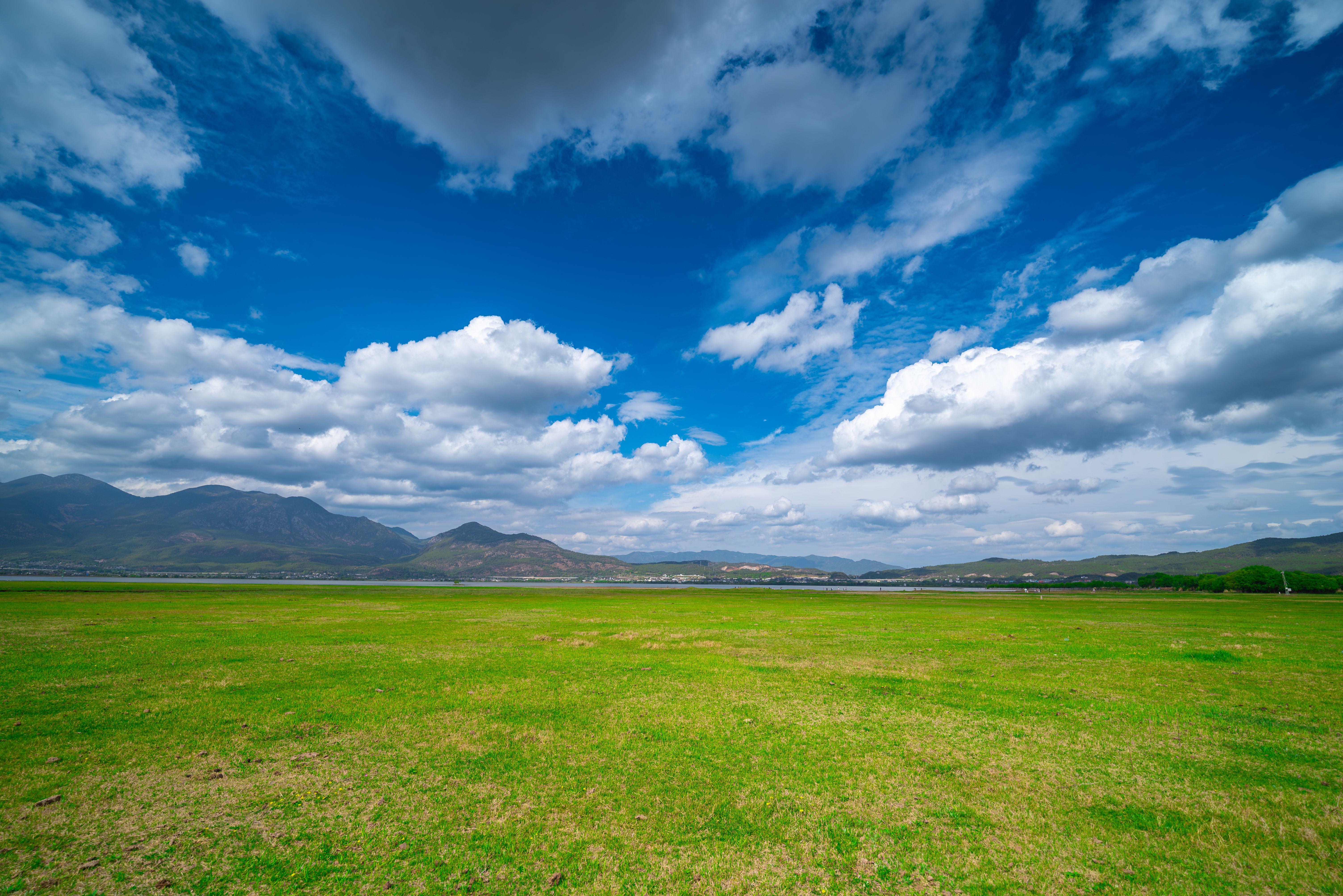 Vast Green Field Under Blue Sky and Clouds · Free Stock Photo