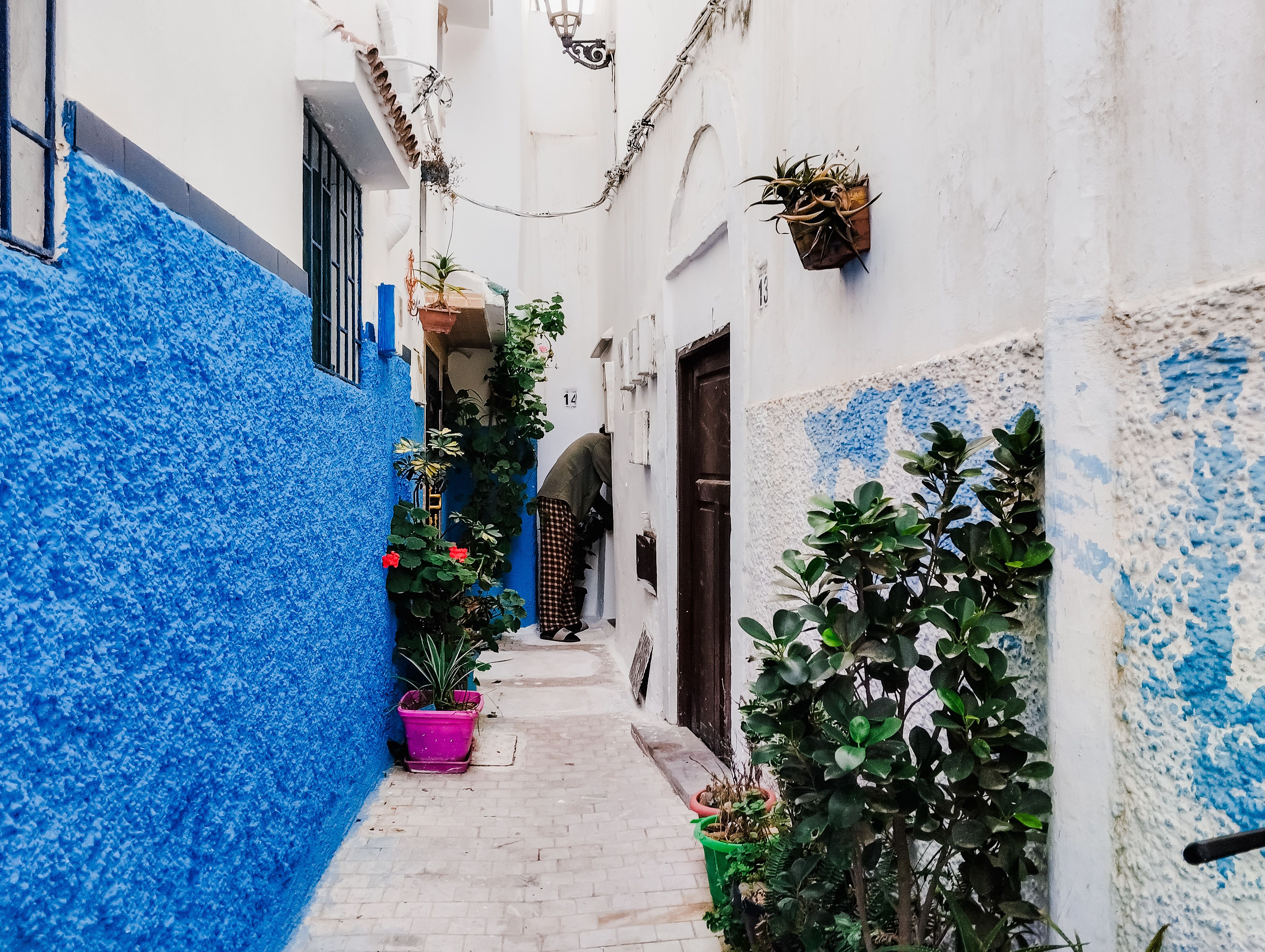 Explore a vibrant blue and white narrow alley in Rabat, decorated with plants and traditional architecture.