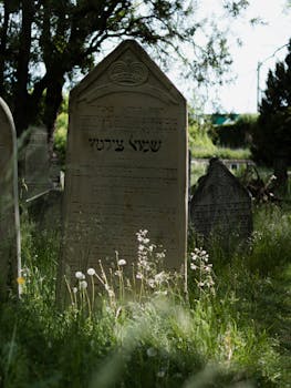Macron condemns 'act of hatred' after tree memorial for murdered Jew is cut down