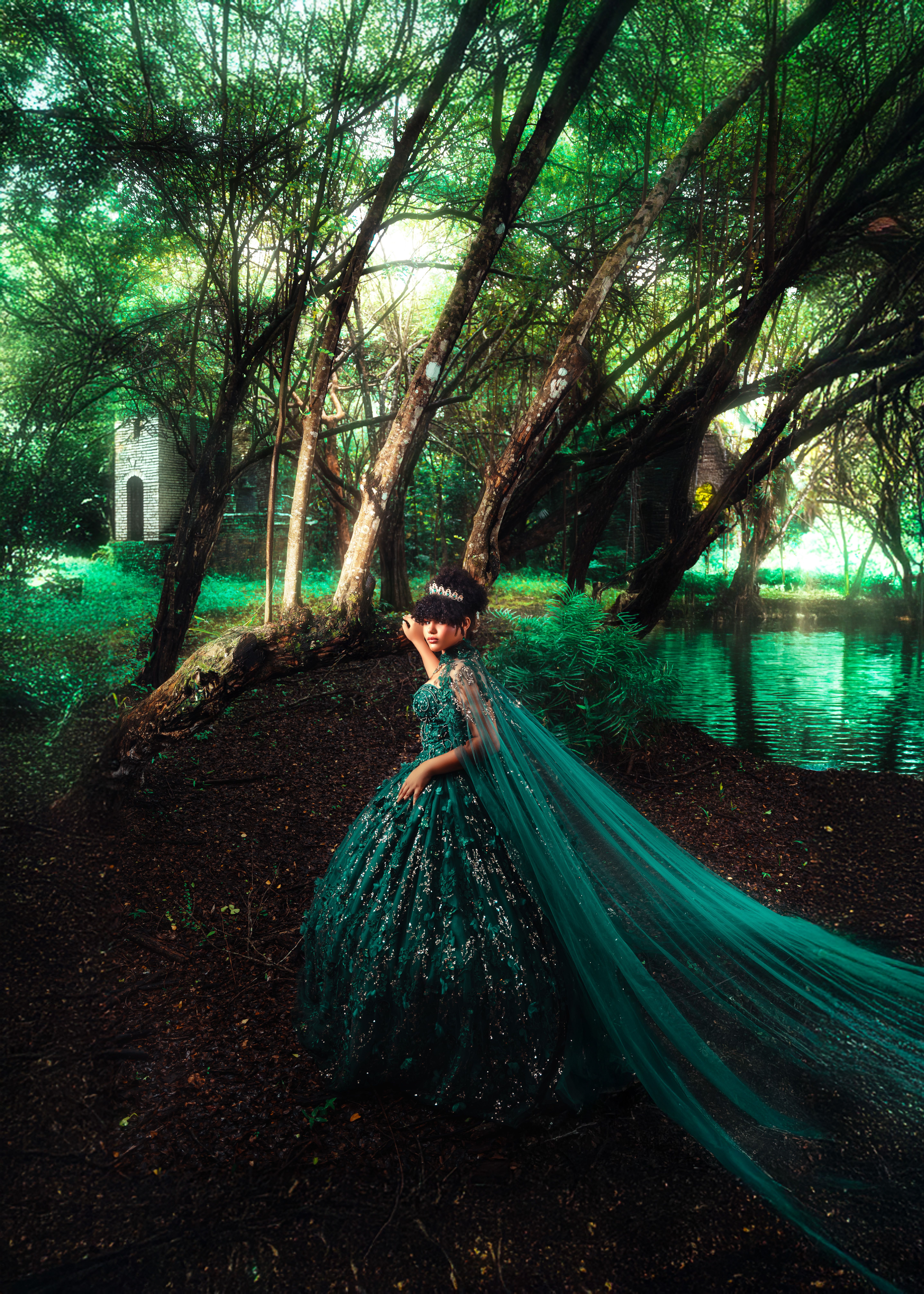 dockers greer dress shoes Enchanted Forest Dress | Anika Ires Dress main image 1