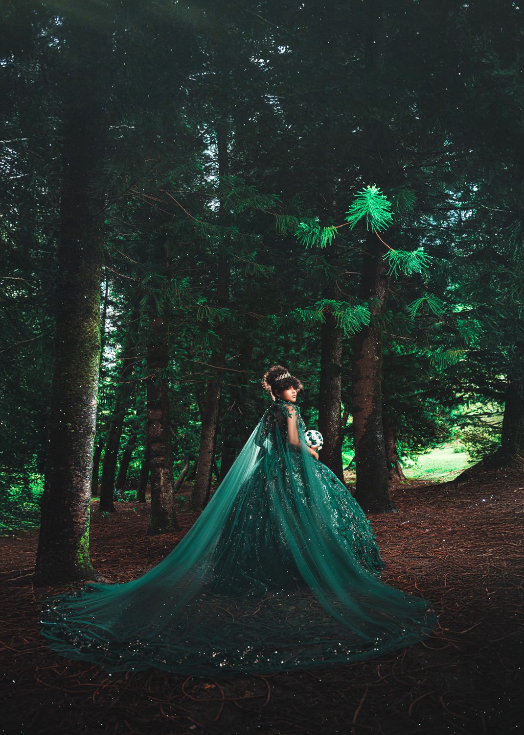 Enchanted Forest Photoshoot with Elegant Gown · Free Stock Photo