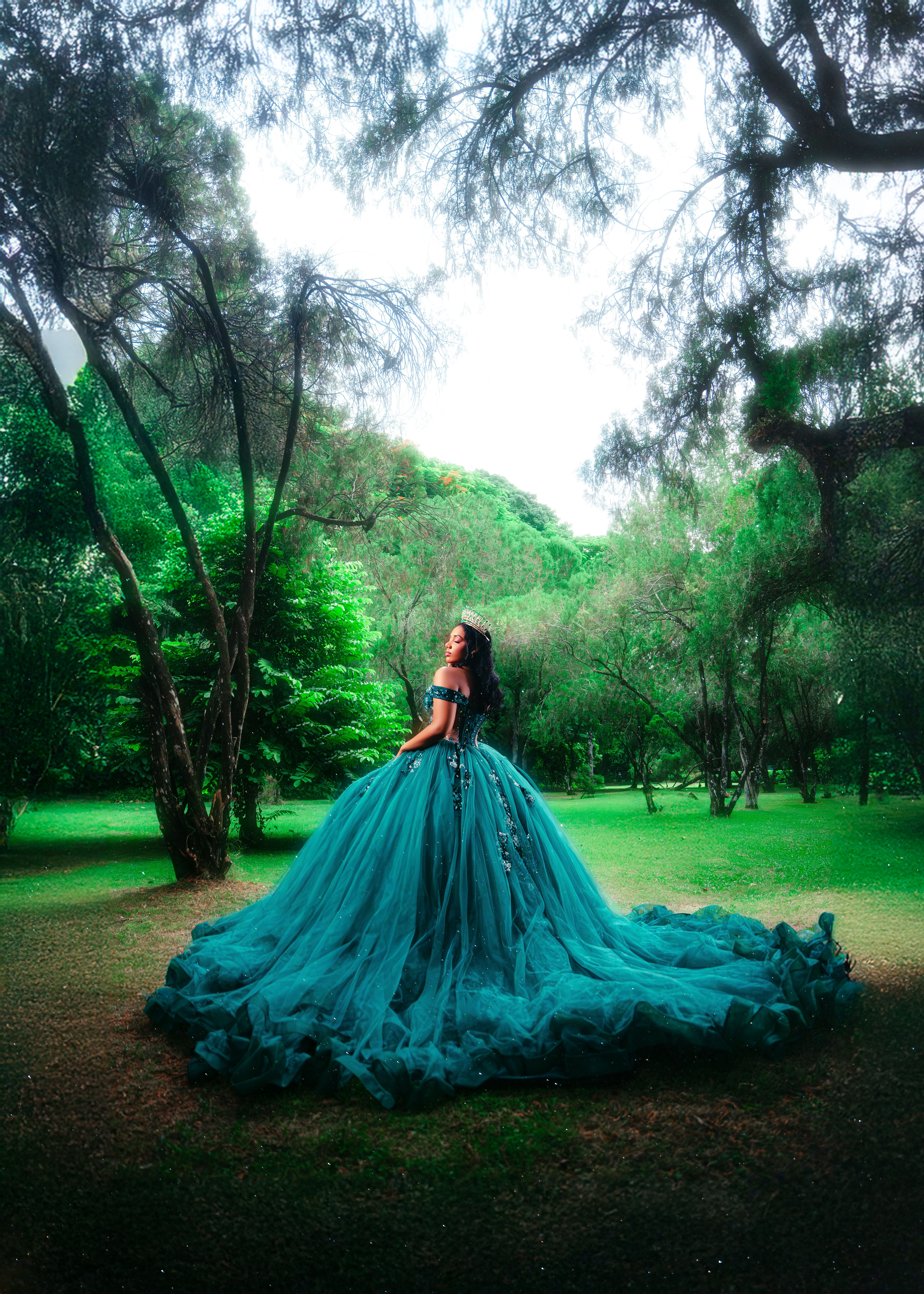 Elegant Woman in Blue Gown Amidst Lush Forest · Free Stock Photo