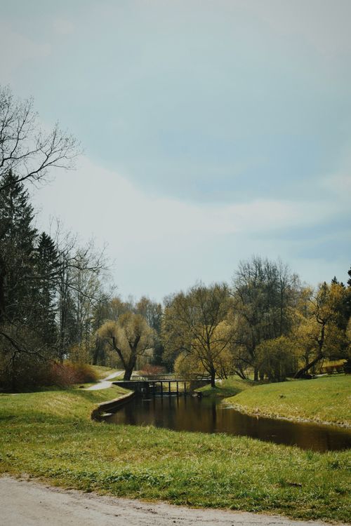 Free Beautiful park scene with a bridge over a creek in springtime. Stock Photo
