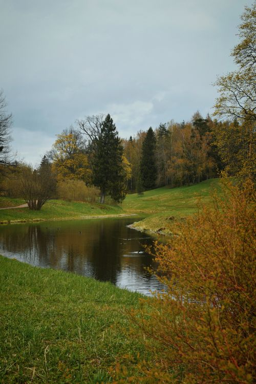 Free Serene autumn landscape featuring a reflective pond surrounded by vibrant foliage. Stock Photo