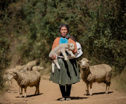 An Andean woman carrying a lamb surrounded by sheep in a scenic area of Huánuco, Perú.