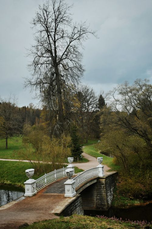 Free Peaceful park with a classic stone bridge over a small river amidst lush greenery. Stock Photo