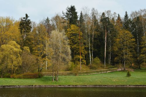 Free Calm autumn forest scene with a tranquil lake reflecting the vibrant colors of the season. Stock Photo