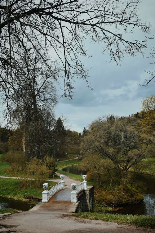 Free A serene park landscape in fall, featuring an elegant stone bridge over a calm river. Stock Photo