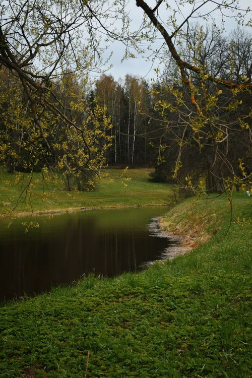 Free Peaceful spring scene with a pond surrounded by lush greenery and trees. Stock Photo