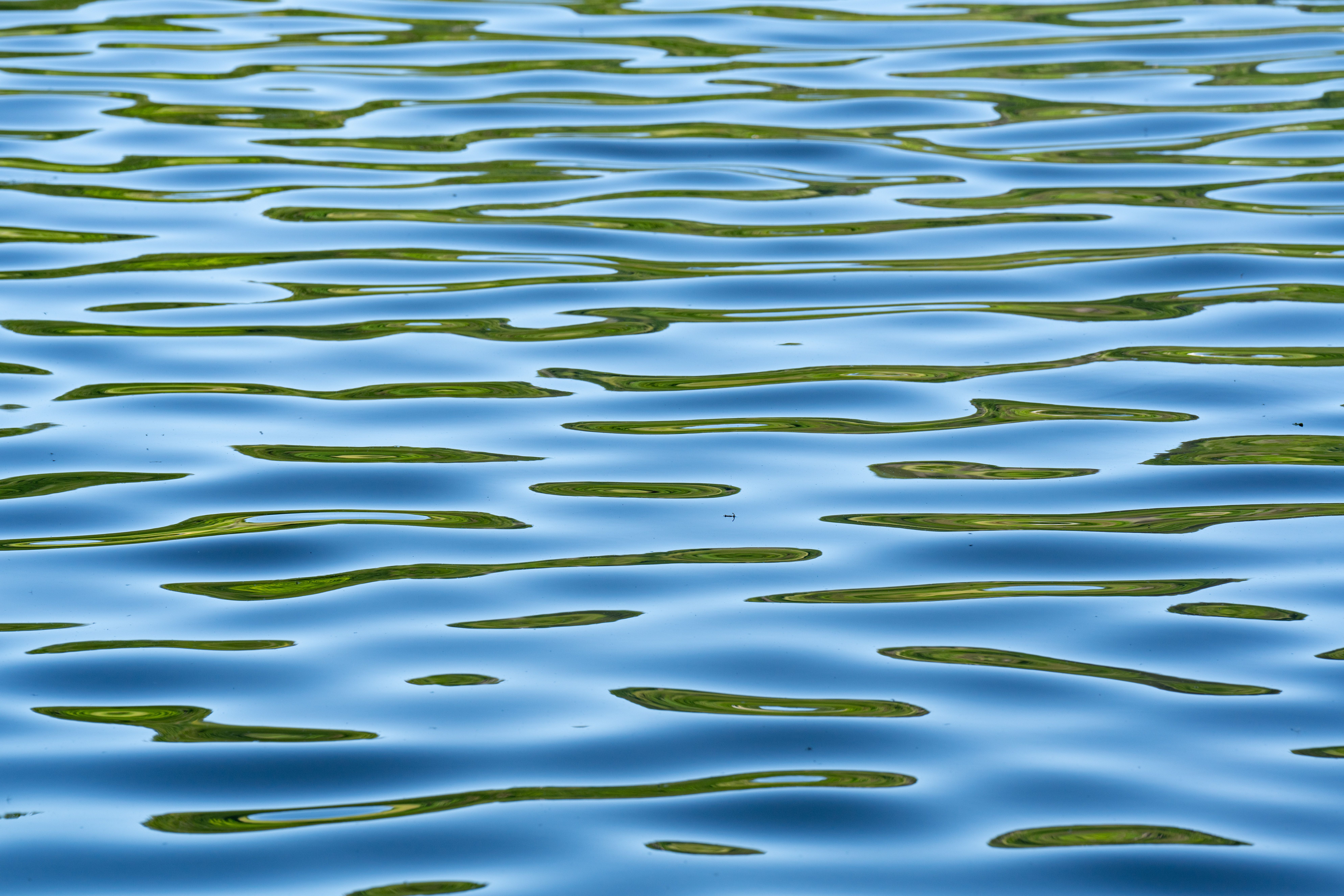 Tranquil Water Ripples in Natural Light · Free Stock Photo