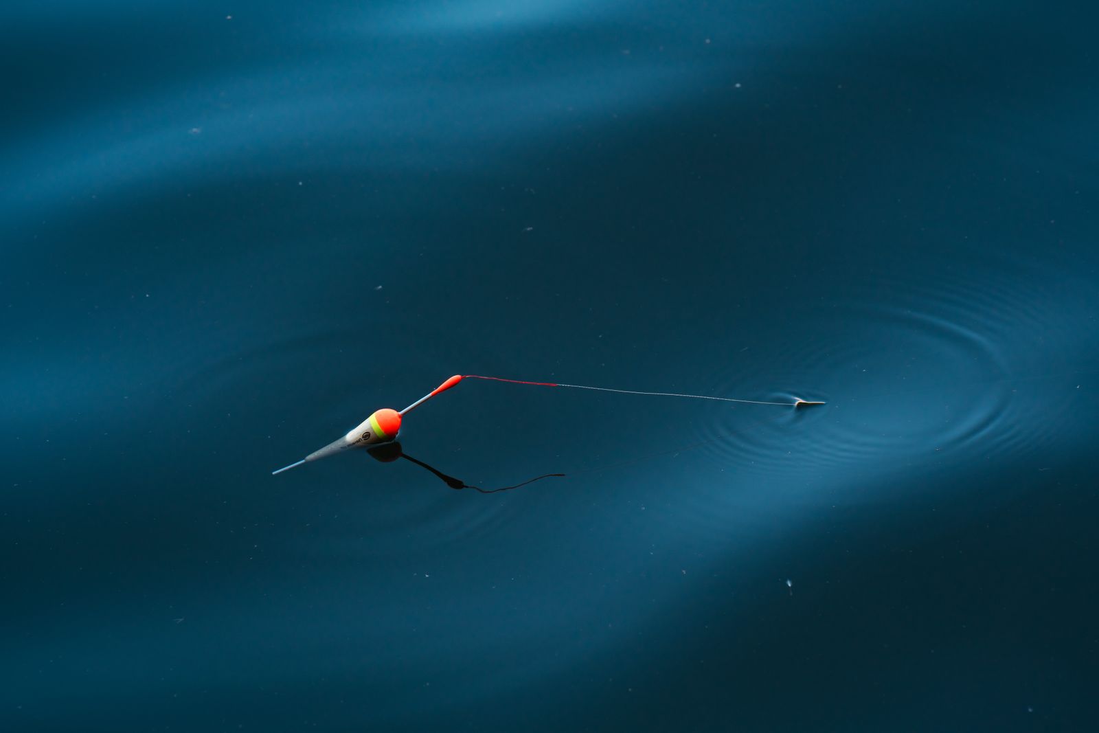 A fishing float drifting on calm, glassy sound water
