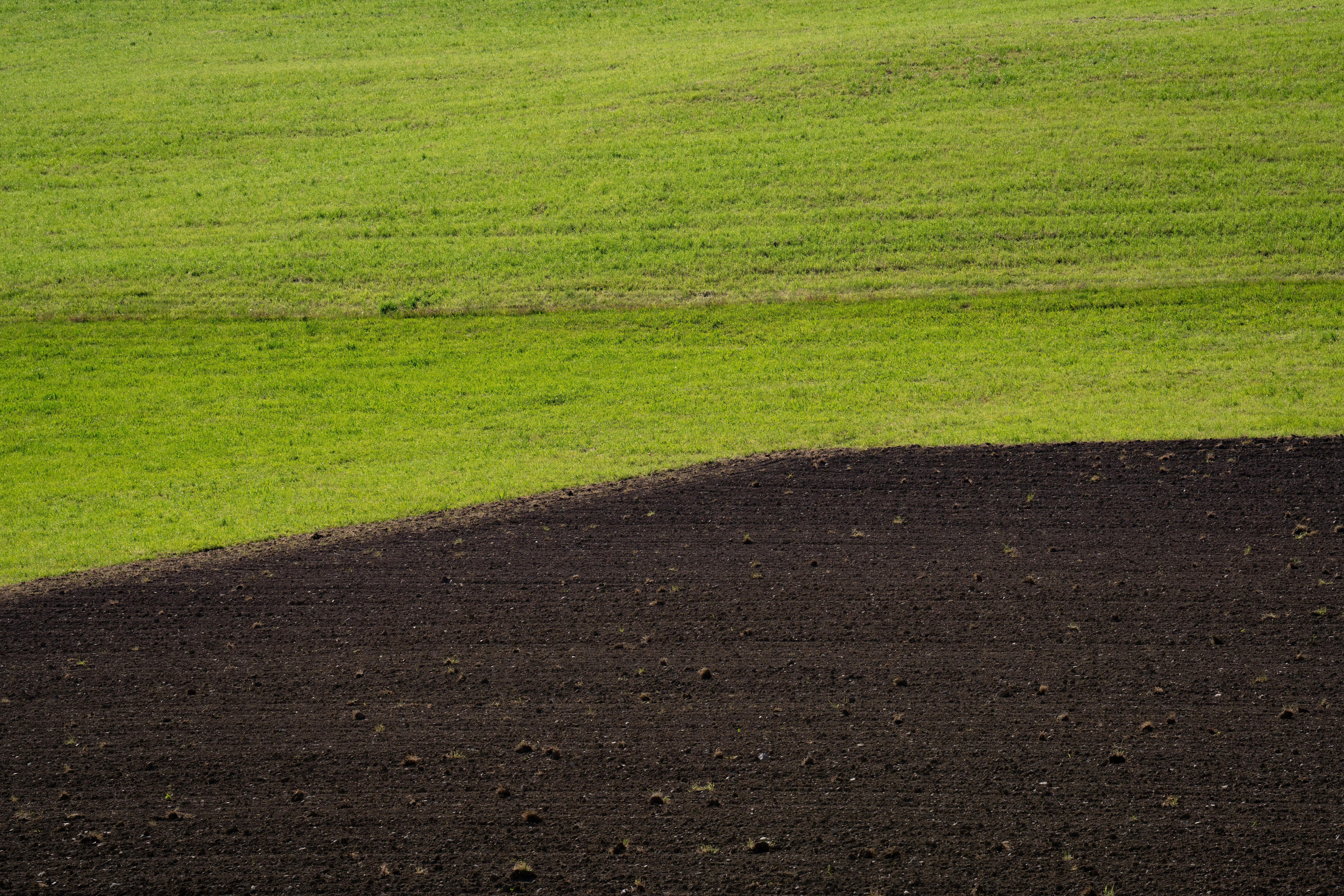 Fertility Supplements