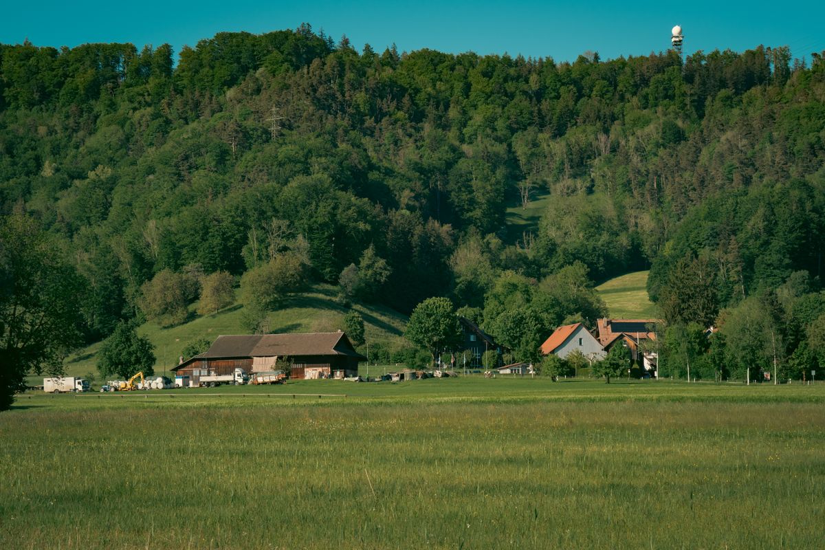 Pasuni, ferme risipite si dealuri impadurite in Elvetia