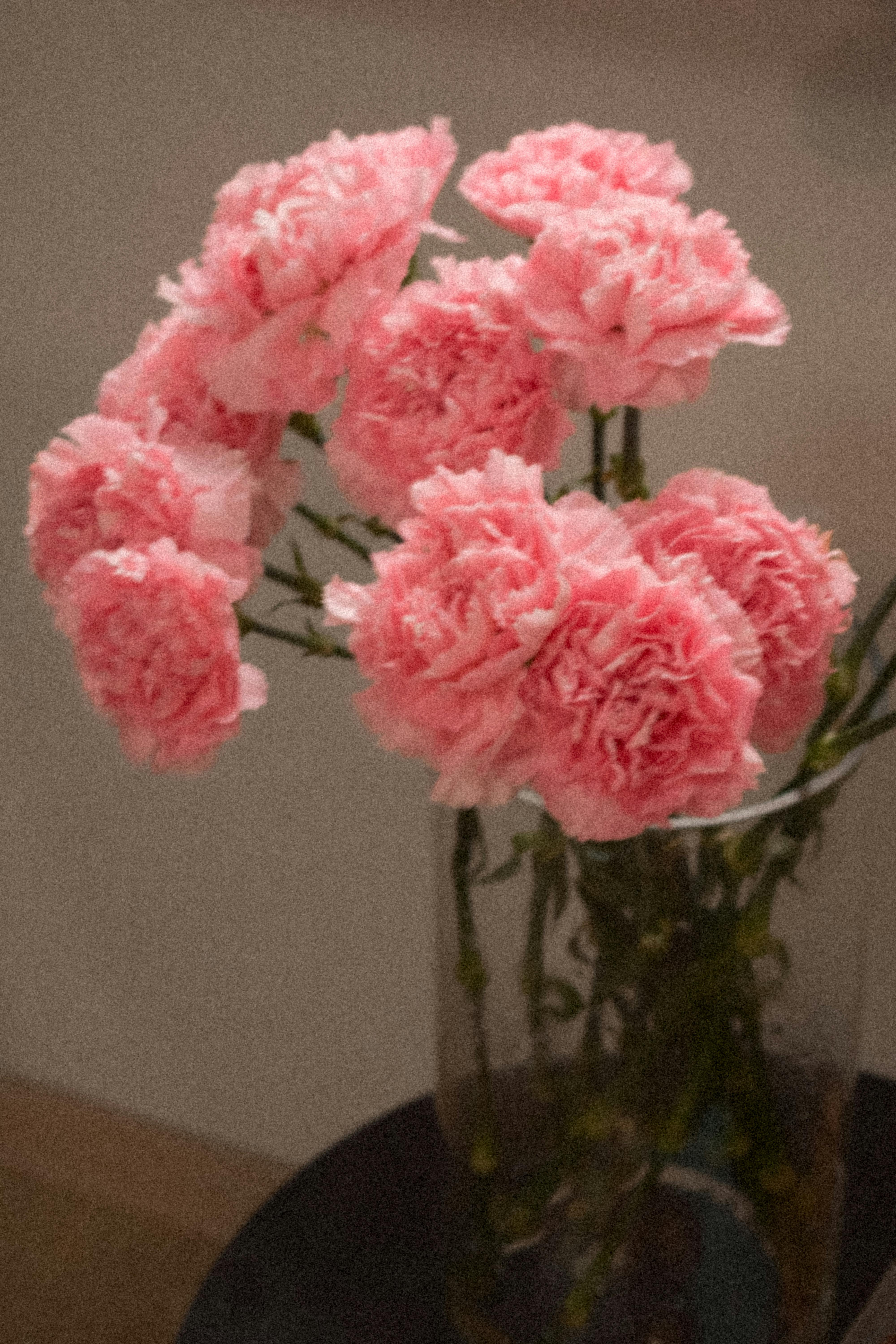 [ColoSach]-a-beautiful-arrangement-of-pink-carnations-in-a-clear-glass-vase,-perfect-for-romantic-settings.
