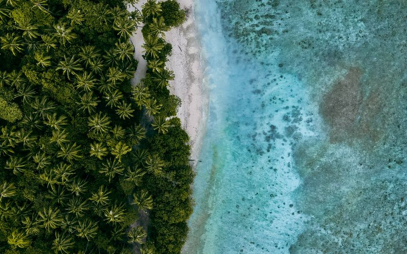 Sandbank Day Trip