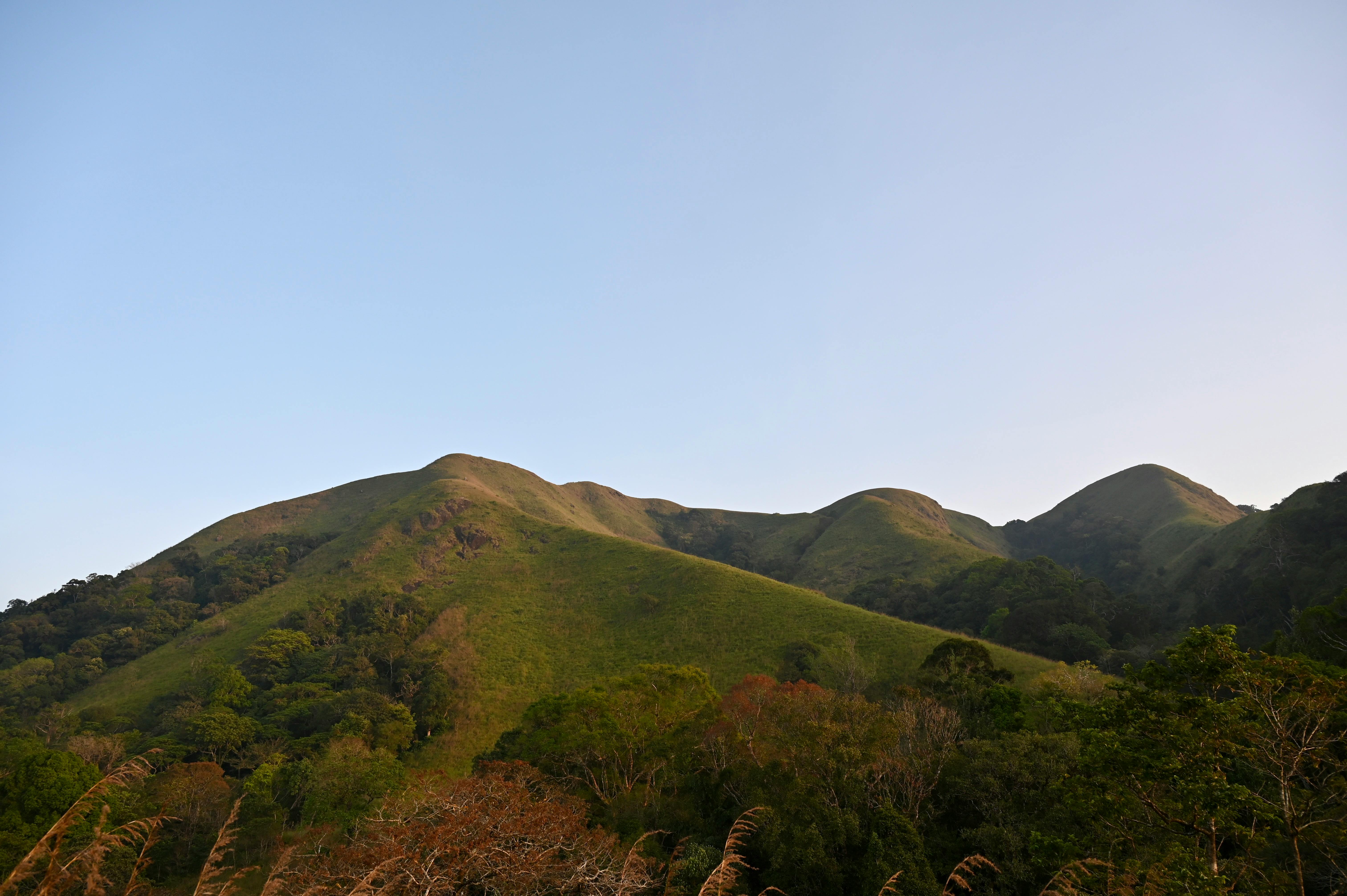 Scenic view of rolling green hills with clear sky, capturing tranquil natural landscape.