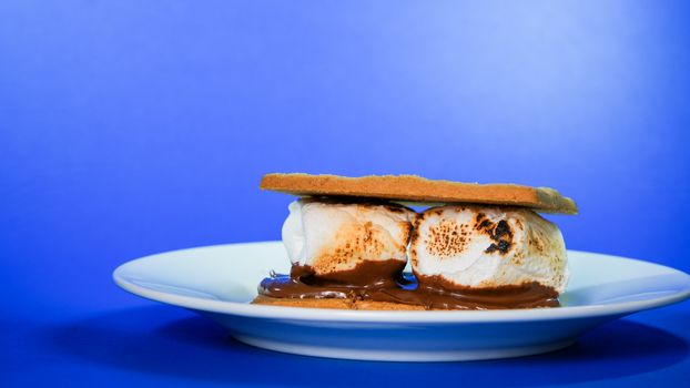 Reduced Fat Graham Crackers