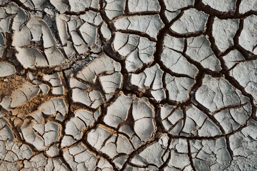 Free stock photo of climate, climate change, dry