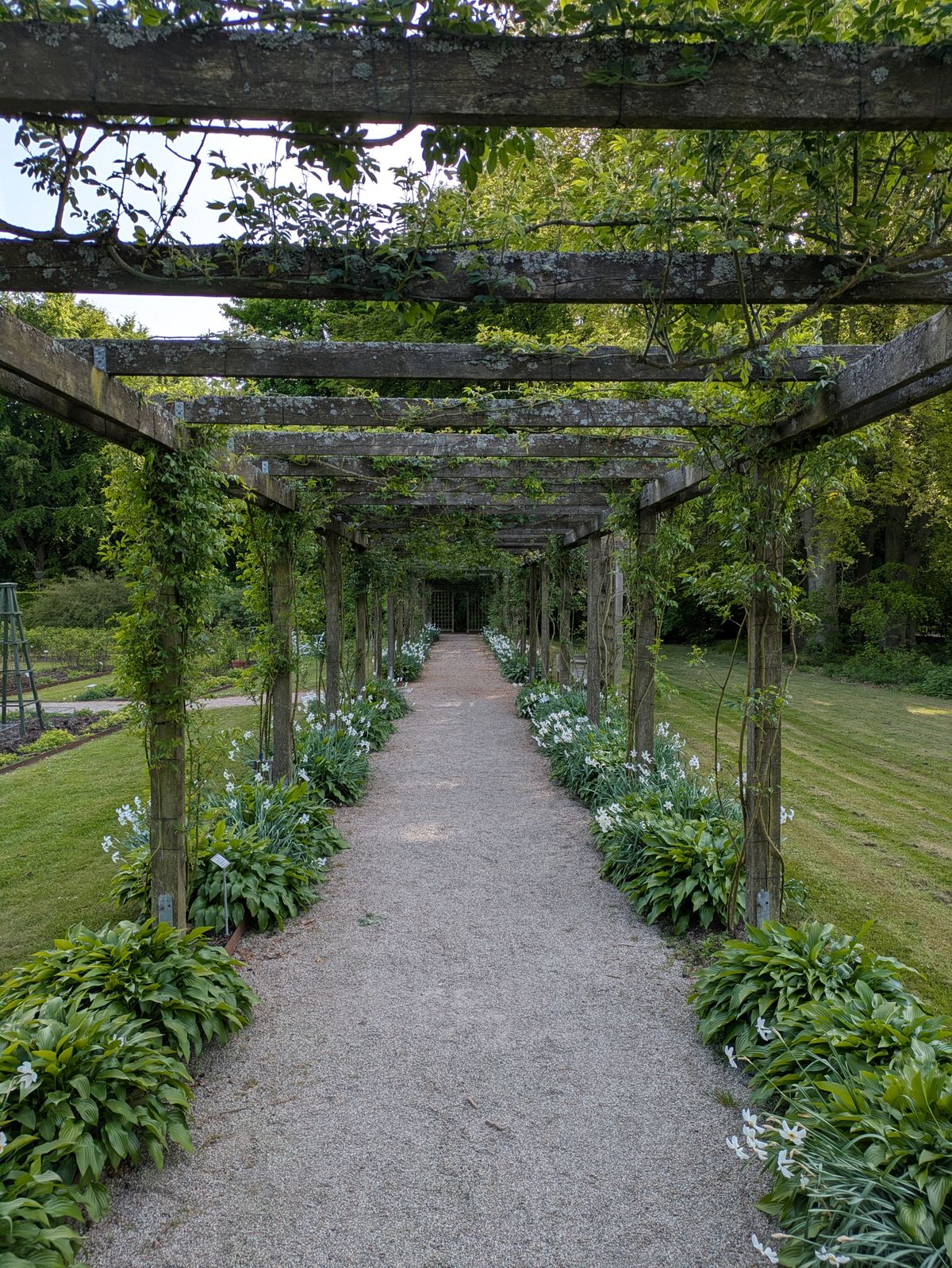 Canteiro cuidado com plantas e ferramentas de jardinagem